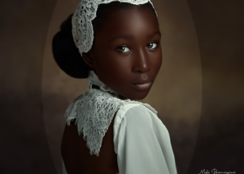 THE PORTRAIT PROS CURRICULUM